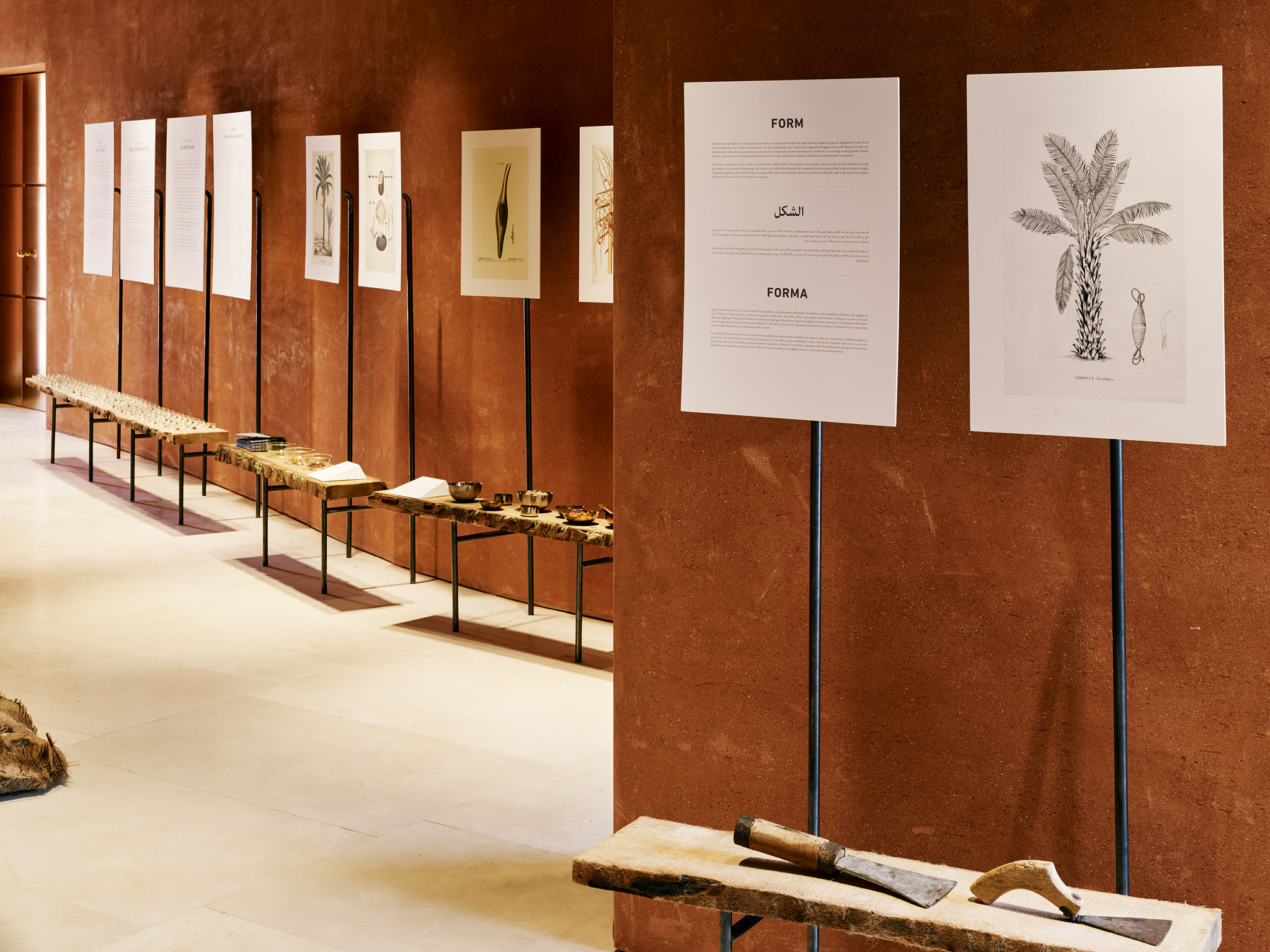 E15547 Alpa 050333 SCREEN